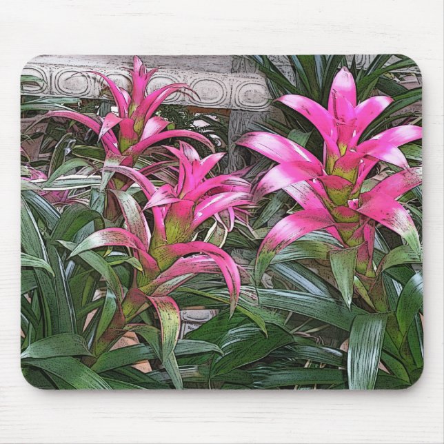 Bromeliad Mouspad Mouse Pad (Front)
