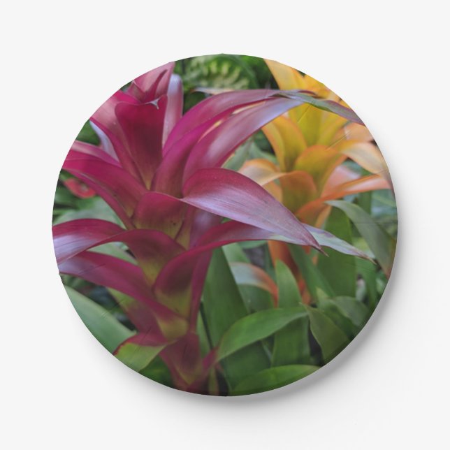 Bromeliad Paper Plate (Front)