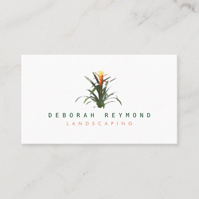 bromeliad plant . landscaping simple white business card (Front)