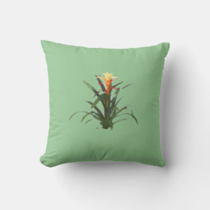Bromeliad with a flower cushion
