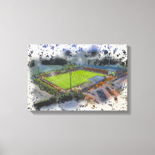 Bromley FC Hayes Lane Stadium Matchday Canvas Print