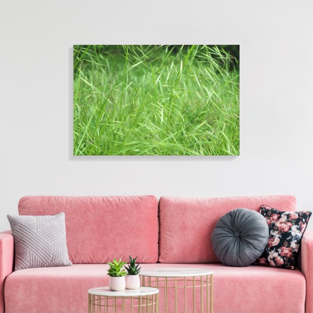 Bromus tectorum canvas print (Insitu(LivingRoom))