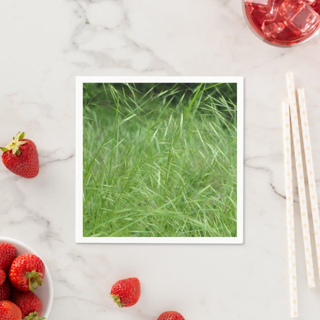 Bromus tectorum Paper Napkins (Insitu)