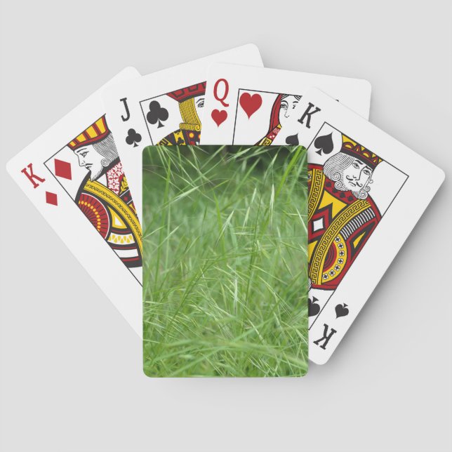 Bromus tectorum playing cards (Back)