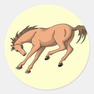 Bronco Classic Round Sticker