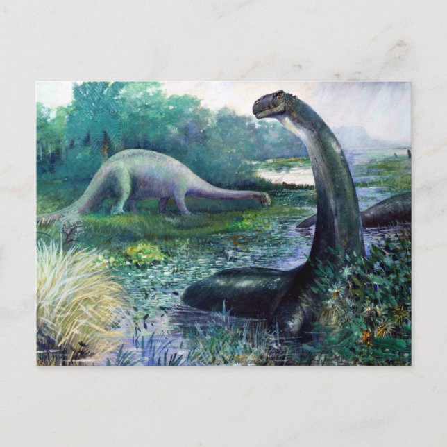 Brontosaurus Postcard (Front)