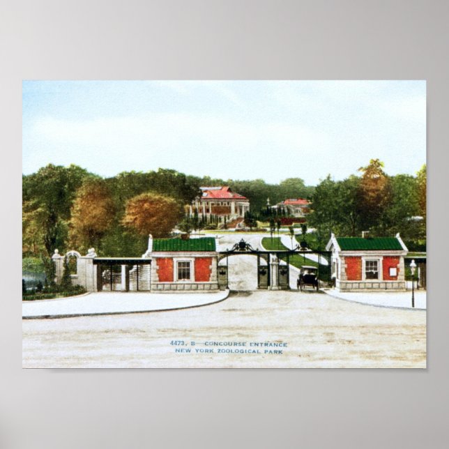 Bronx Zoo, New York City Vintage Poster (Front)