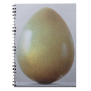 Bronze age Egg Spiral Notebook