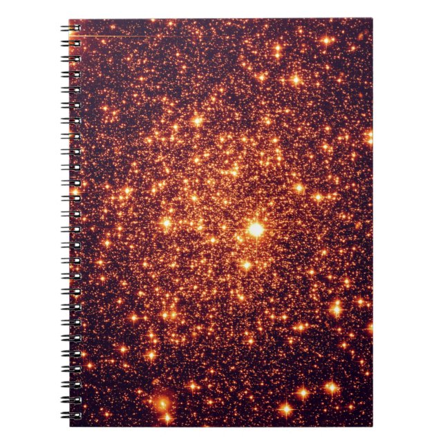Bronze Astral Glitter Spiral Notebook (Front)