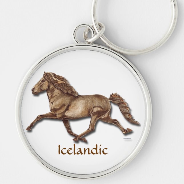Bronze Icelandic Key Ring (Front)