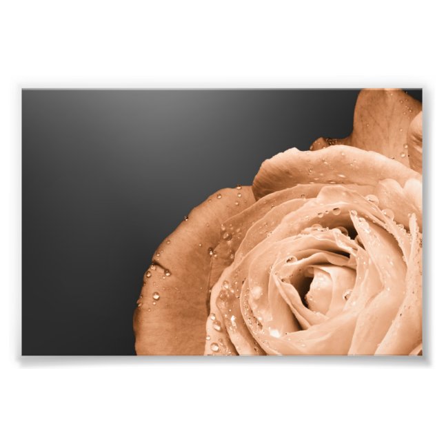 Bronze rose photo print (Front)