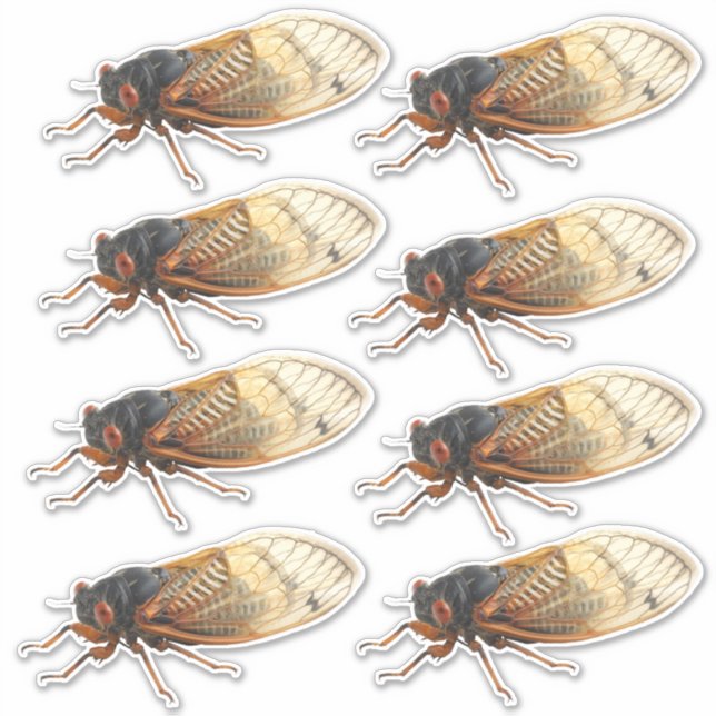 Brood X Periodical Cicada Stickers: 8 per sheet (Front)