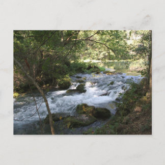 Brook in Alley Springs, Missouri Postcard