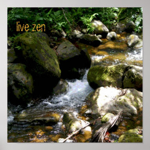 Brook live zen poster