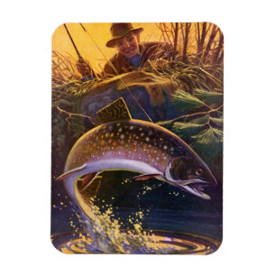 Brook Trout Fish Fisherman, Vintage Sports Fishing Magnet