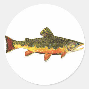 Brook Trout Fish Painting Classic Round Sticker