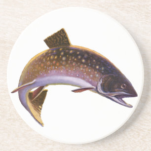 Brook Trout Fish, Vintage Sports Fishing Fisherman Coaster