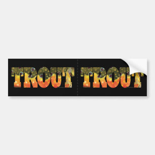 Brook Trout Fishing Bumper Sticker