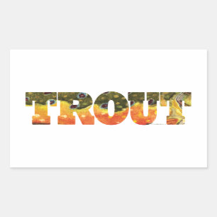 Brook Trout Fishing Rectangular Sticker