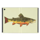 Brook Trout Fly Fishing