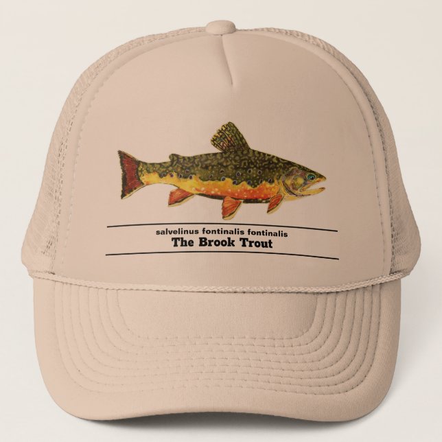 Brook Trout Fly Fishing Latin Name Ichthyology Trucker Hat (Front)