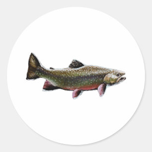 Brook Trout Logo (Swimming) Classic Round Sticker