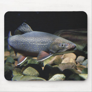 Brook Trout - Mouse Pad
