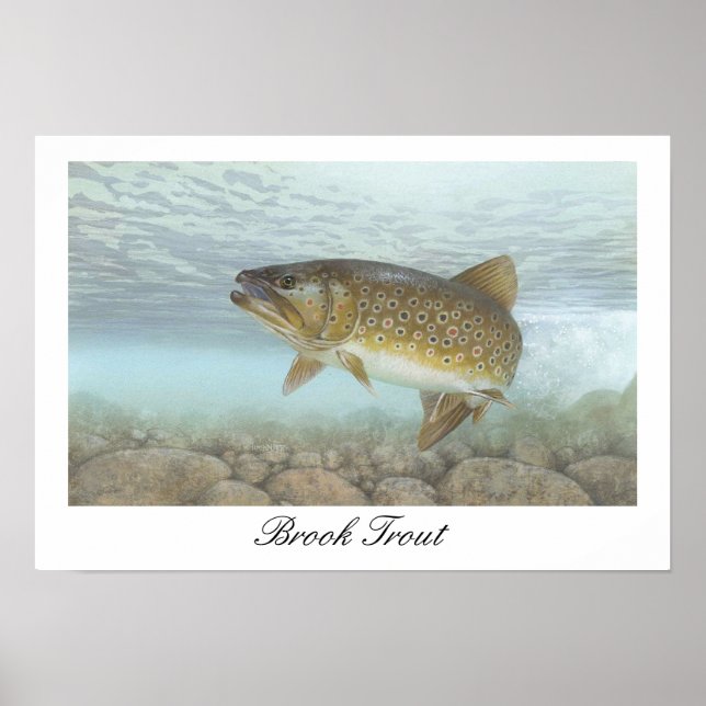Brook Trout Painting Poster (Front)