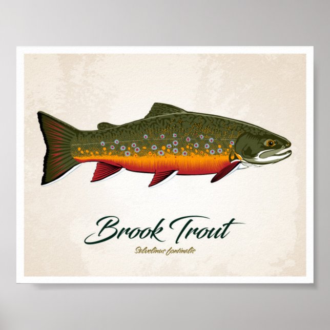 Brook Trout Poster (Front)