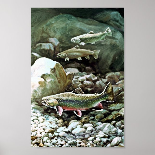 Brook Trout Poster (Front)