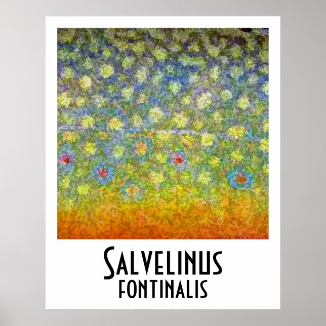 Brook Trout Poster (Front)