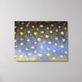 Brook Trout Scales Photography Canvas Print