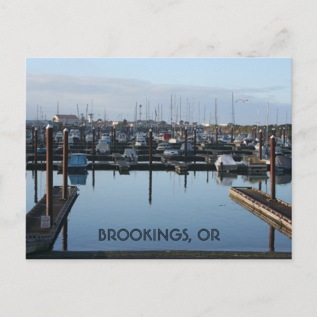 Brookings Harbour Postcard (Front)