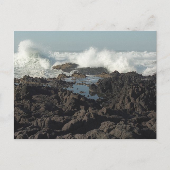 Brookings, Oregon postcard (Front)