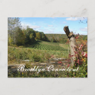 Brooklyn,Ct Postcard