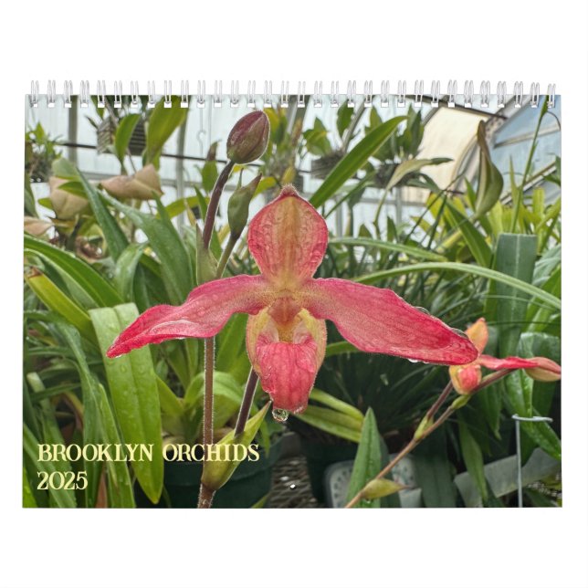 Brooklyn Orchids 2025 Calendar (Cover)