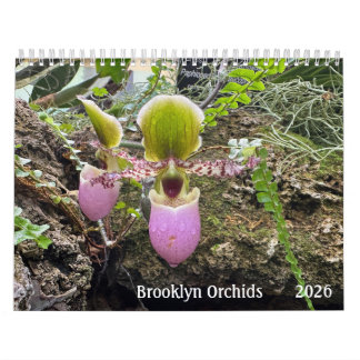 Brooklyn Orchids 2026 Calendar