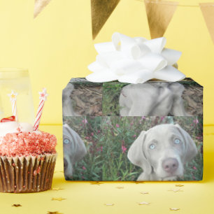 Brooklyn's Garden Party - Weimaraner Dog  Wrapping Paper