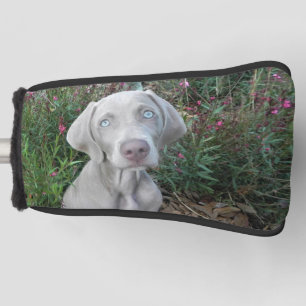 Brooklyn's Weimaraner Dog Golf Putter Head Cover