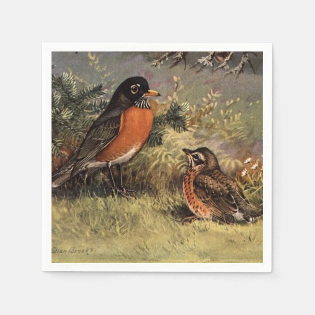 Brooks' American Robins Napkin (Front)