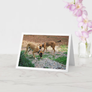 Brother and Sister, Dog Portrait Card