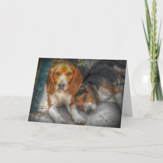 Brother Beagles Card (Front)