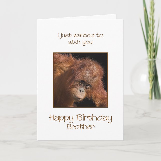 Brother Birthday, Orang Utan Card (Front)