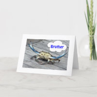 BROTHER-DON'T BE A CRAB (SAYS THE CRAB)