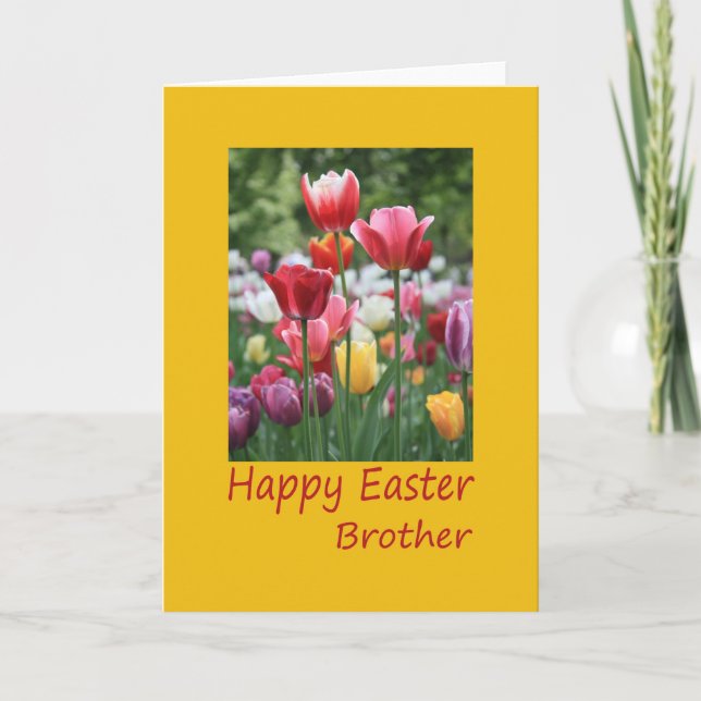 Brother  Happy Easter Holiday Card (Front)
