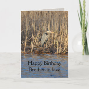 Brother-in-law Birthday Card