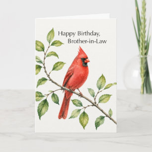 Brother in Law Birthday Red Cardinal on Branch Card