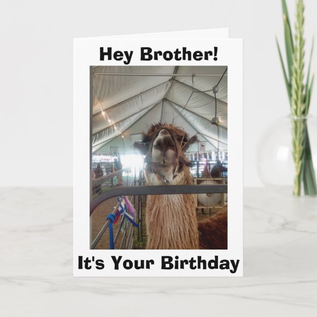 *BROTHER* LLAMA HUMOR ON YOUR BIRTHDAY CARD (Front)