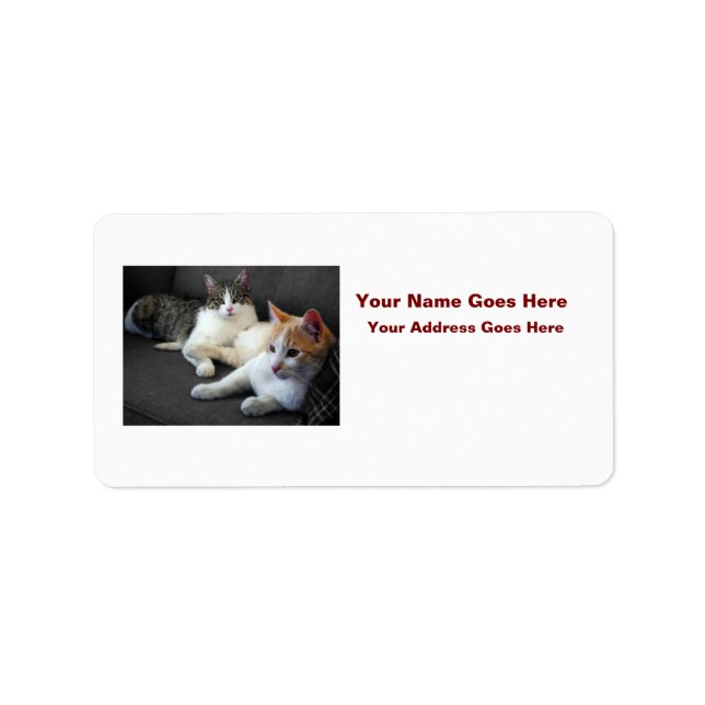 Brother & Sister Kitties Label (Front)