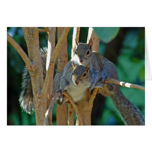 Brotherly Love Card (Front Horizontal)